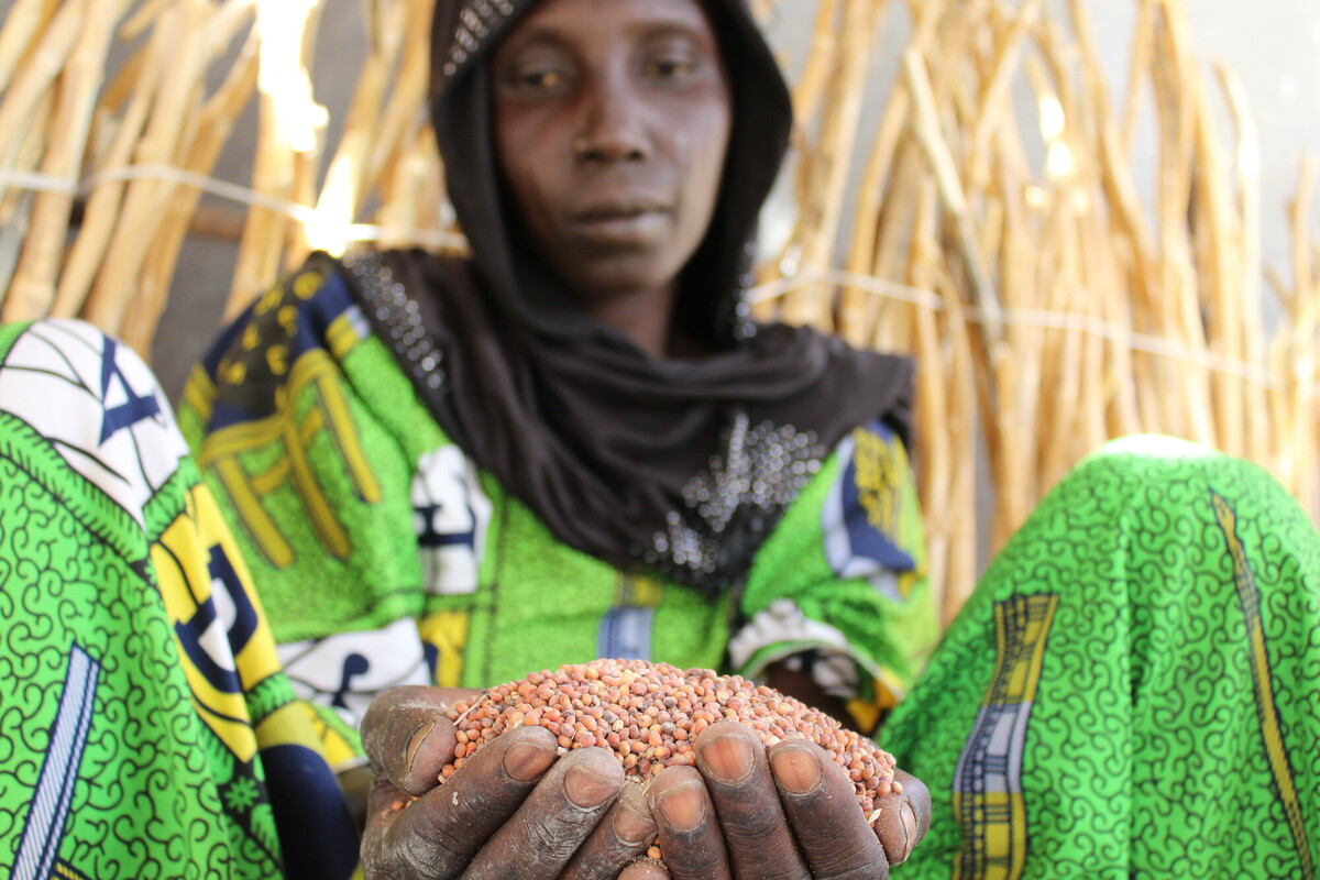 Achta mostra gli ingredienti che sta cucinando per i suoi cinque figli il 14 giugno. Afflitta dalla povertà nel sito degli sfollati di Amma, Achta è stata identificata da Oxfam ed è una beneficiaria di Il programma cash-for-work di Oxfam nella provincia del Lago Ciad.