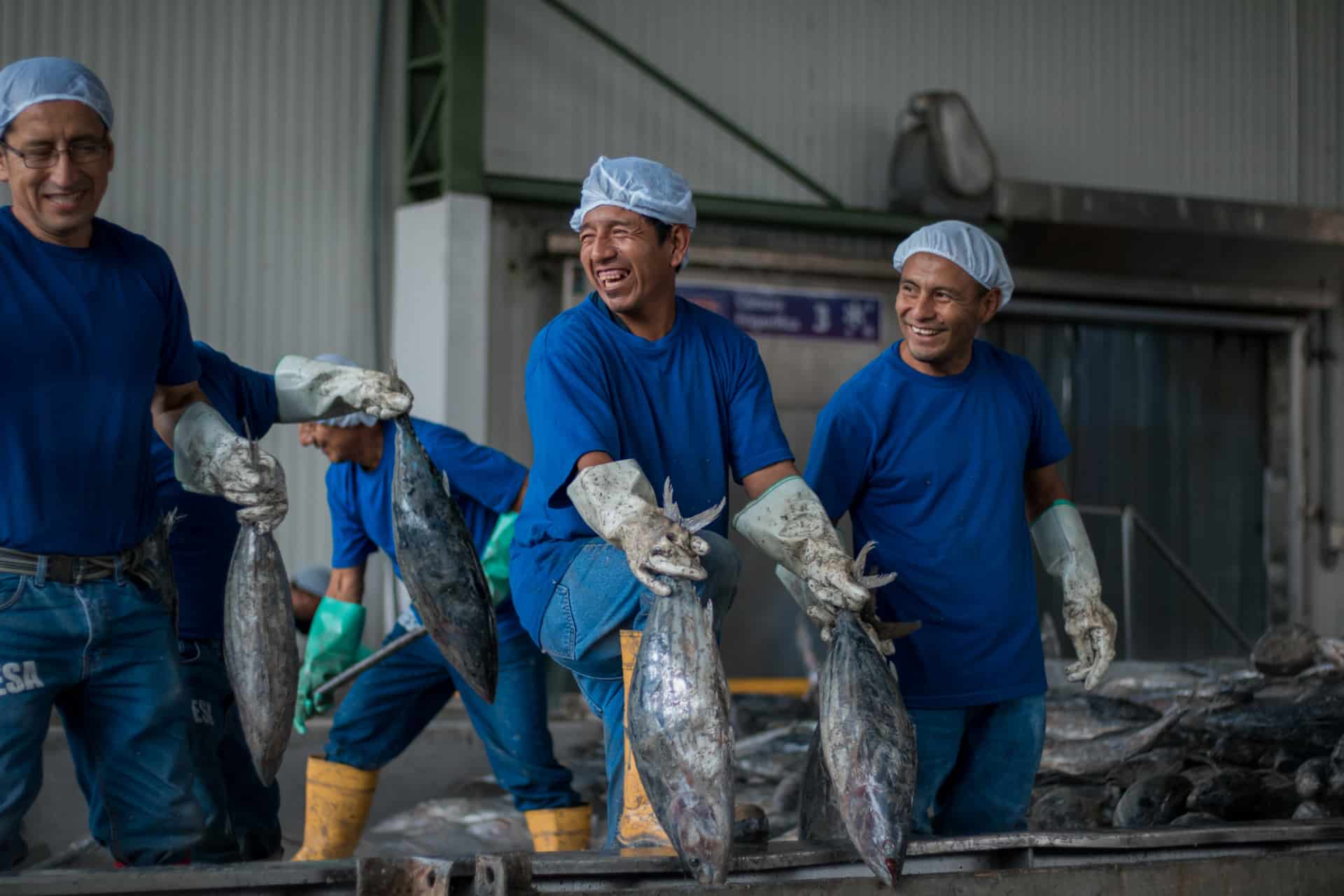 Addetti stabilimento tonno Bolton in Ecuador. Credit: Bolton