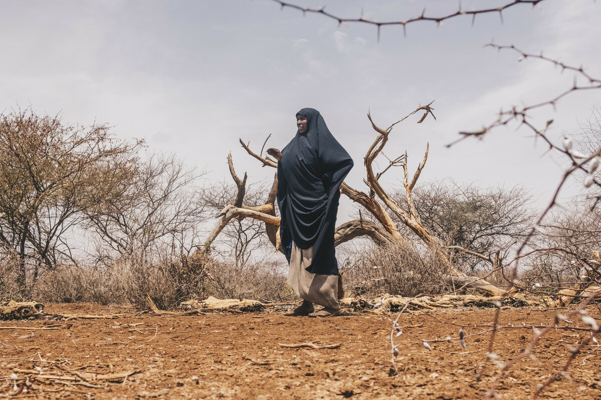Kenya. La mancanza di pascoli ha ucciso il bestiame e seccato i raccolti, togliendo a pastori e agricoltori ogni mezzo di sostentamento. Foto: Khadija Farah/Oxfam