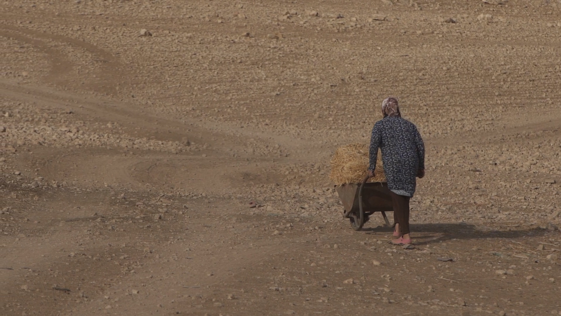 Donne palestinesi che lavoro negli insediamenti israeliani.Crediti: Lara Khammash/Oxfam