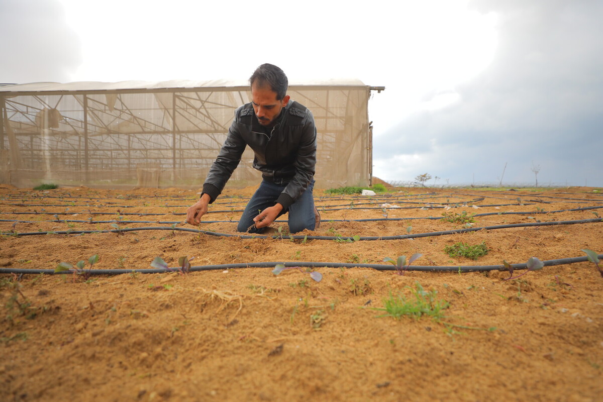 Gli agricoltori come Rami hanno bisogno di sistemi di irrigazione a basso impatto nel consumo delle risorse idriche. Foto: Alef Multimedia/Oxfam 