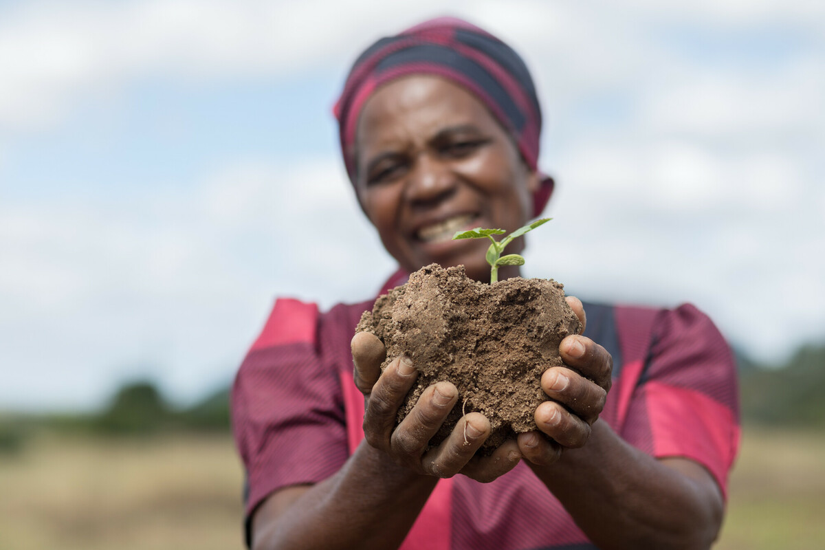 Credit: Loliwe Phiri / Oxfam