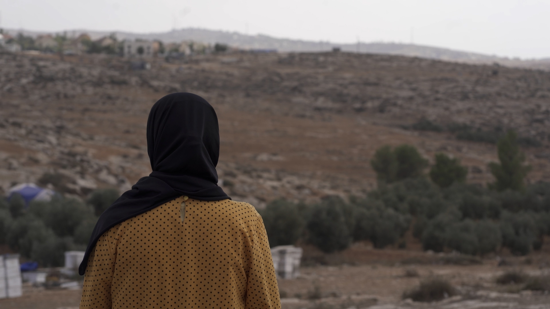 Lavoro donne palestinesi