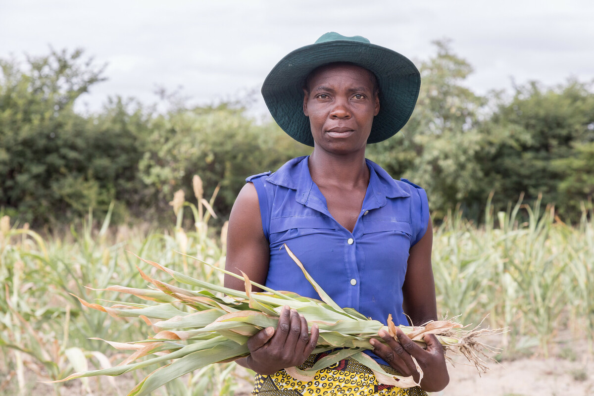 In vista della Cop30, lanciamo un appello urgente ai governi per contrastare il ruolo dei super ricchi nella produzione di emissioni inquinanti