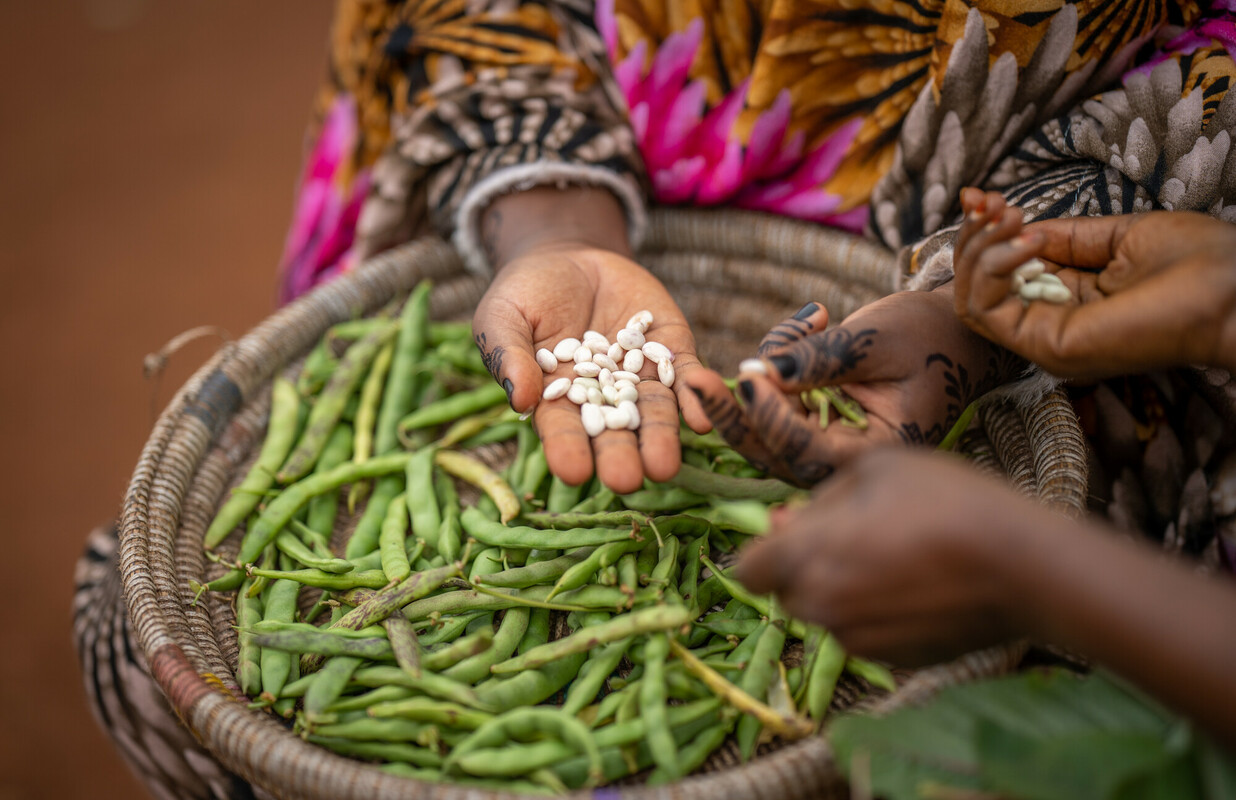 Credit: Micheck Kamau/oxfam