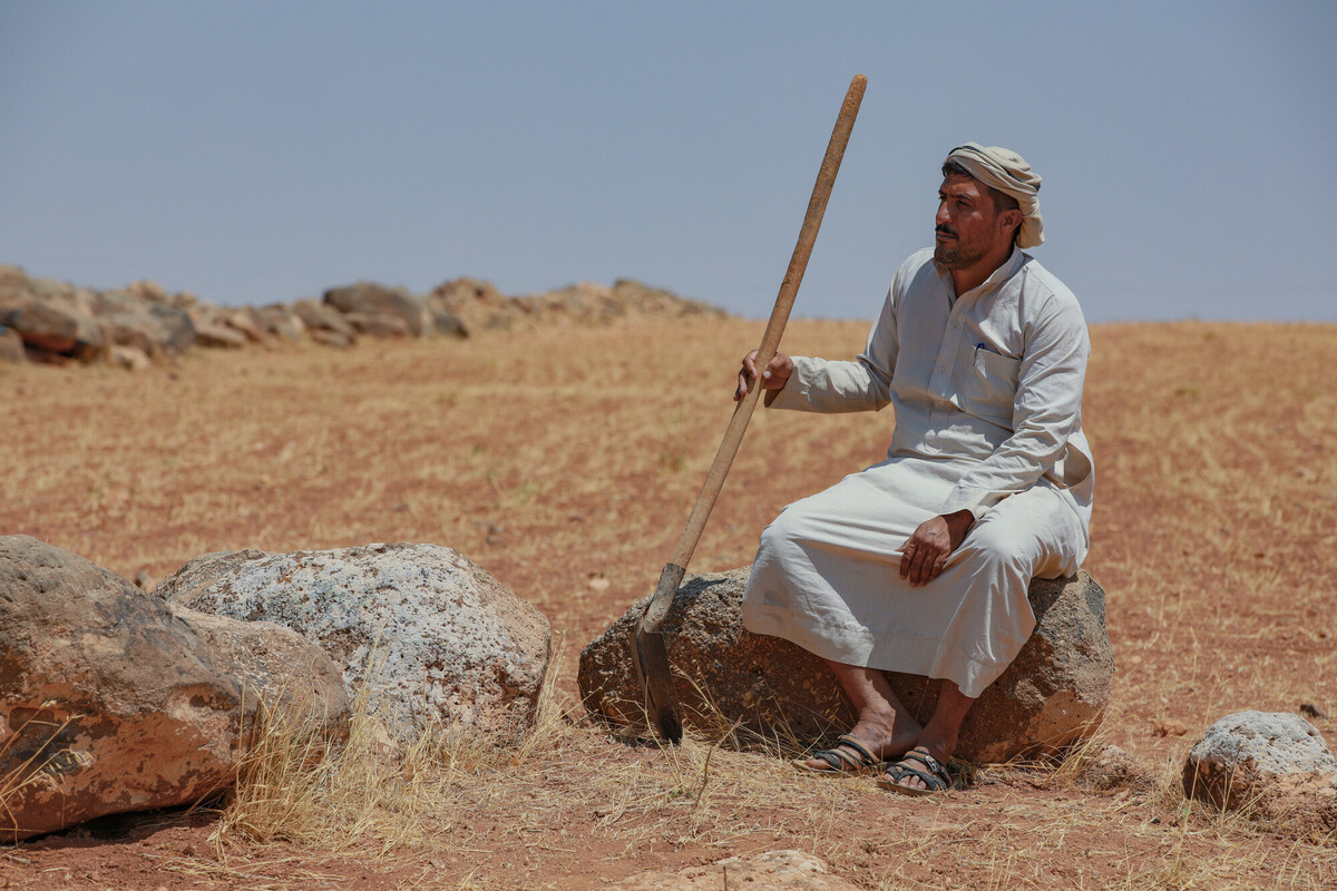 Faraj, 56 anni, un contadino della campagna di Aleppo, si trova in una fattoria che possedeva e che ha dovuto vendere a causa della siccità. Ha dovuto ricorrere ad altri lavori per assicurarsi un reddito, come lavorare come bracciante giornaliero per altri proprietari terrieri. CreditIslam Mardini/ Oxfam