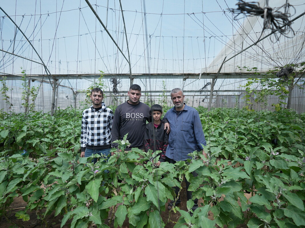 Walid e i suoi figli sono in piedi in una serra nella zona di Zawaya, al centro della Striscia di Gaza. Credit: Alef Multimedia Company/ Oxfam
