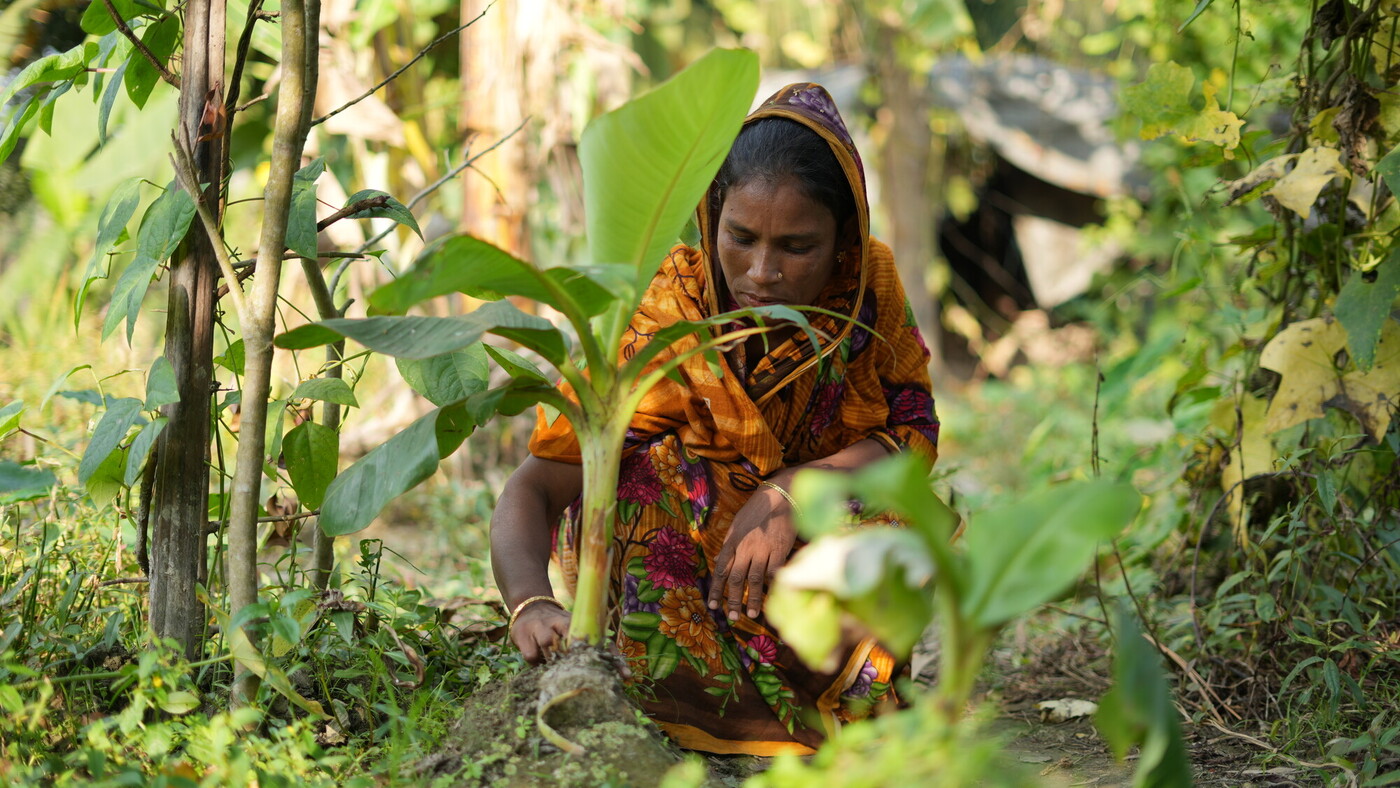 Credit: Aimee Han/Oxfam