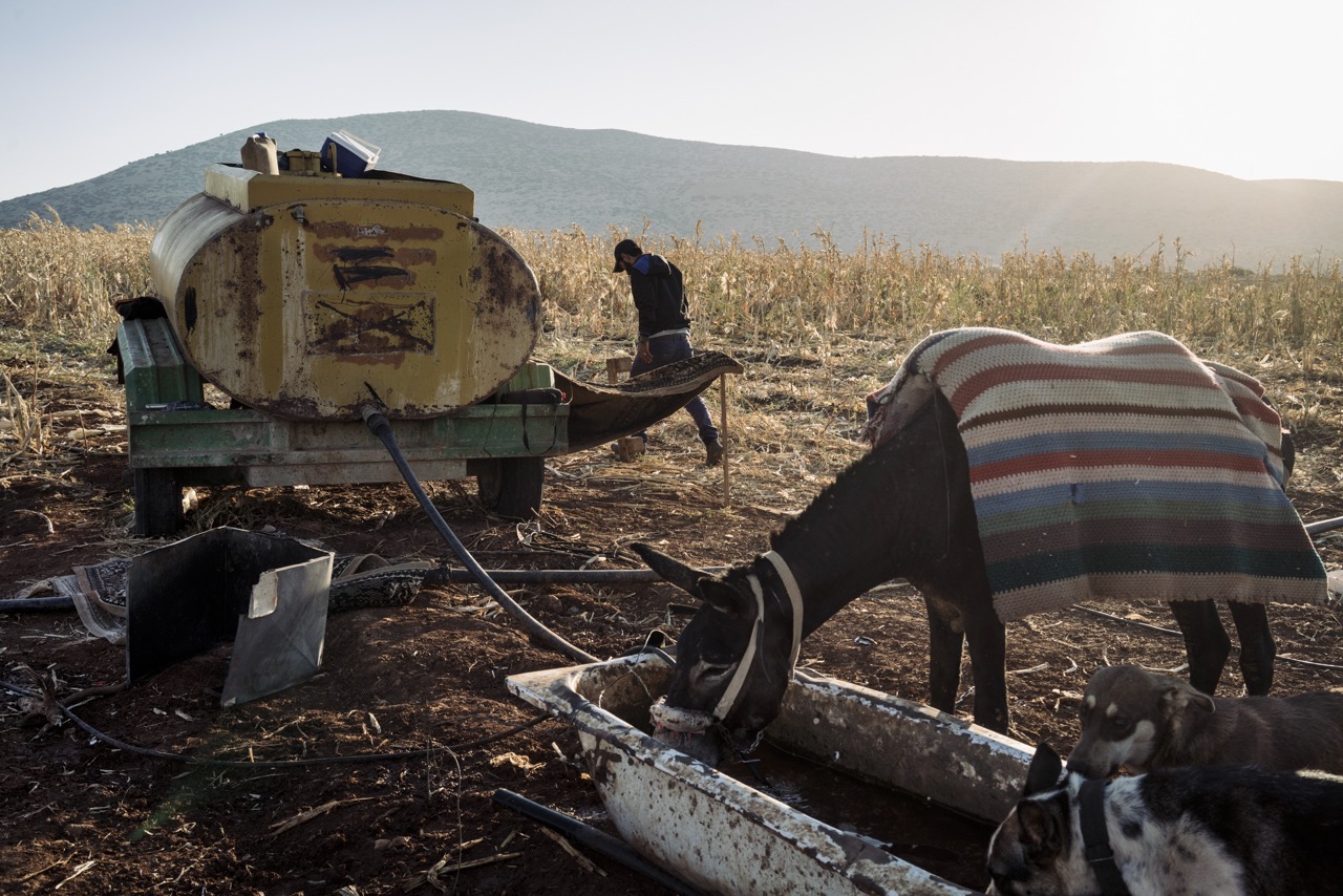 Allevatore di Bardalah, nella Valle del Giordano settentrionale, stava tornando a casa da Wadi Qauon, nei pressi del villaggio.
