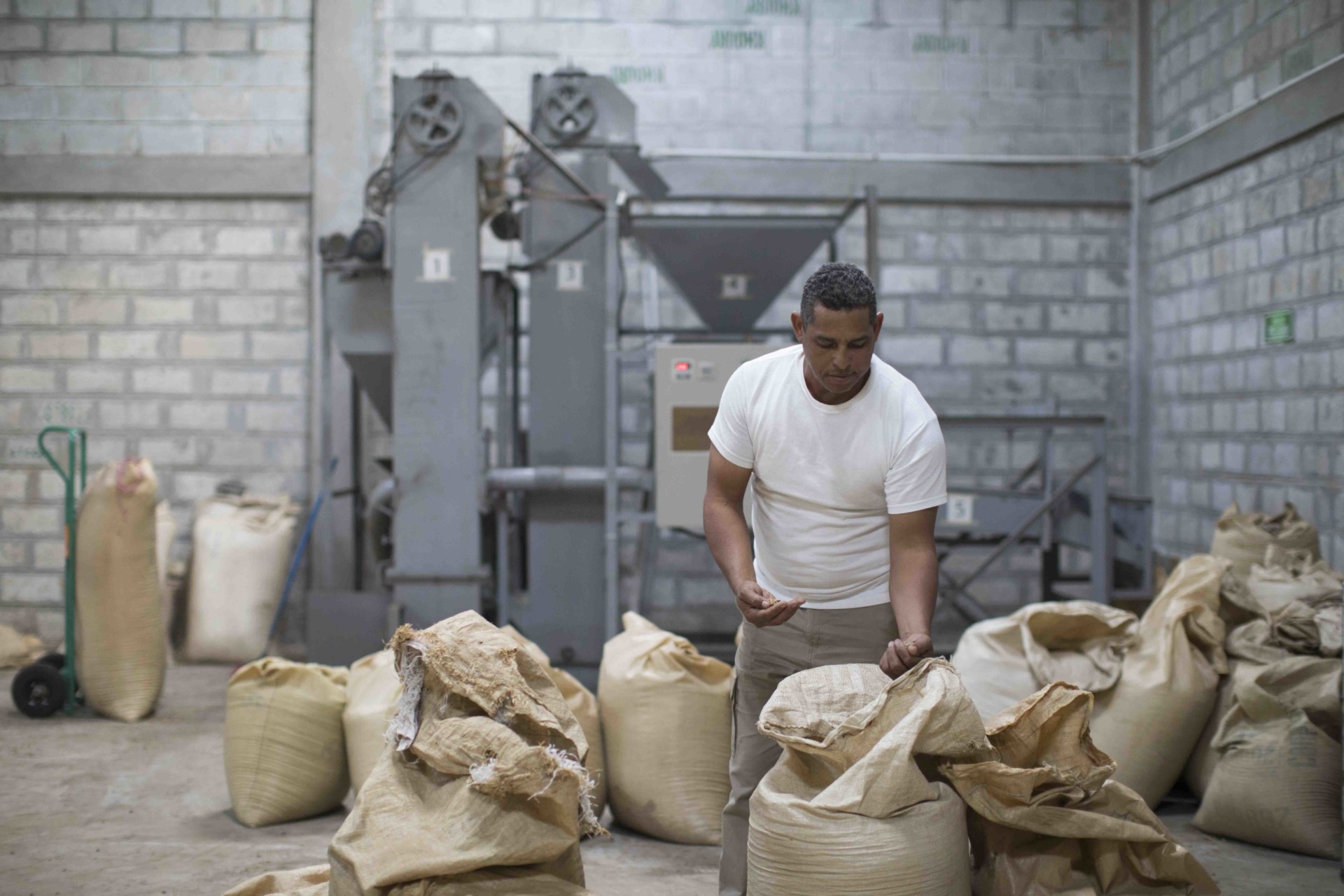 Fondazione Lavazza & Oxfam: Insieme per filiere del caffè più resilienti